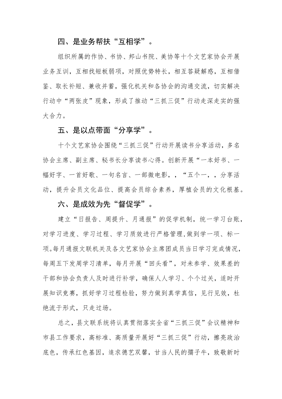 县文联系统开展【“三抓三促”行动进行时】学习研讨会发言材料.docx_第2页