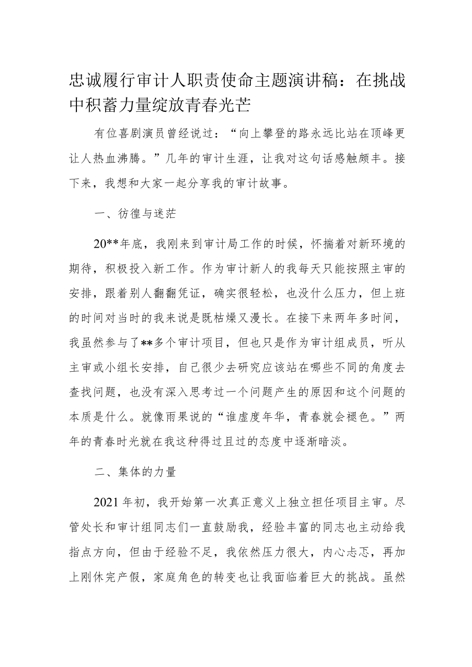 忠诚履行审计人职责使命主题演讲稿.docx_第1页