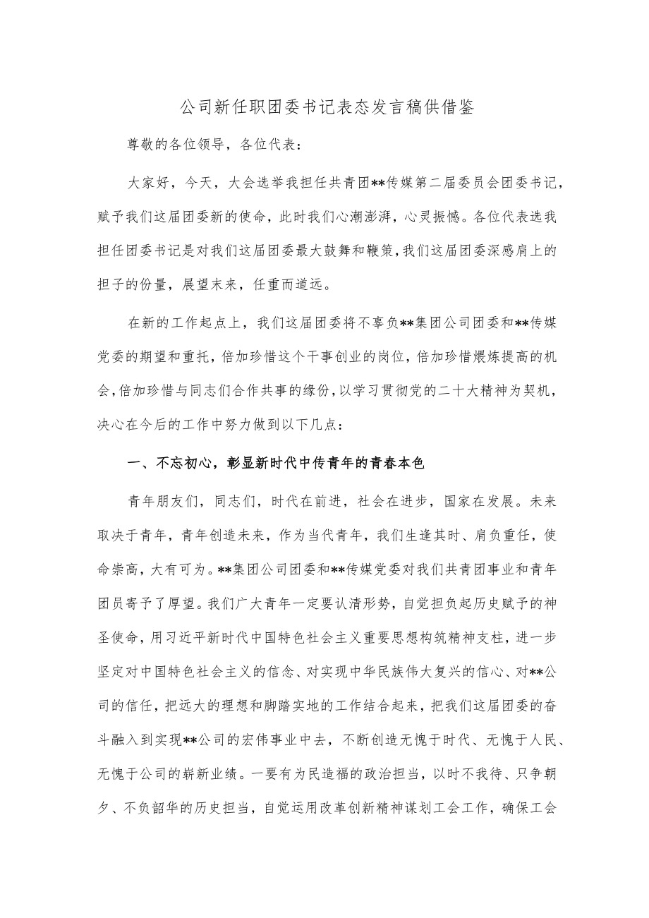 公司新任职团委书记表态发言稿供借鉴.docx_第1页