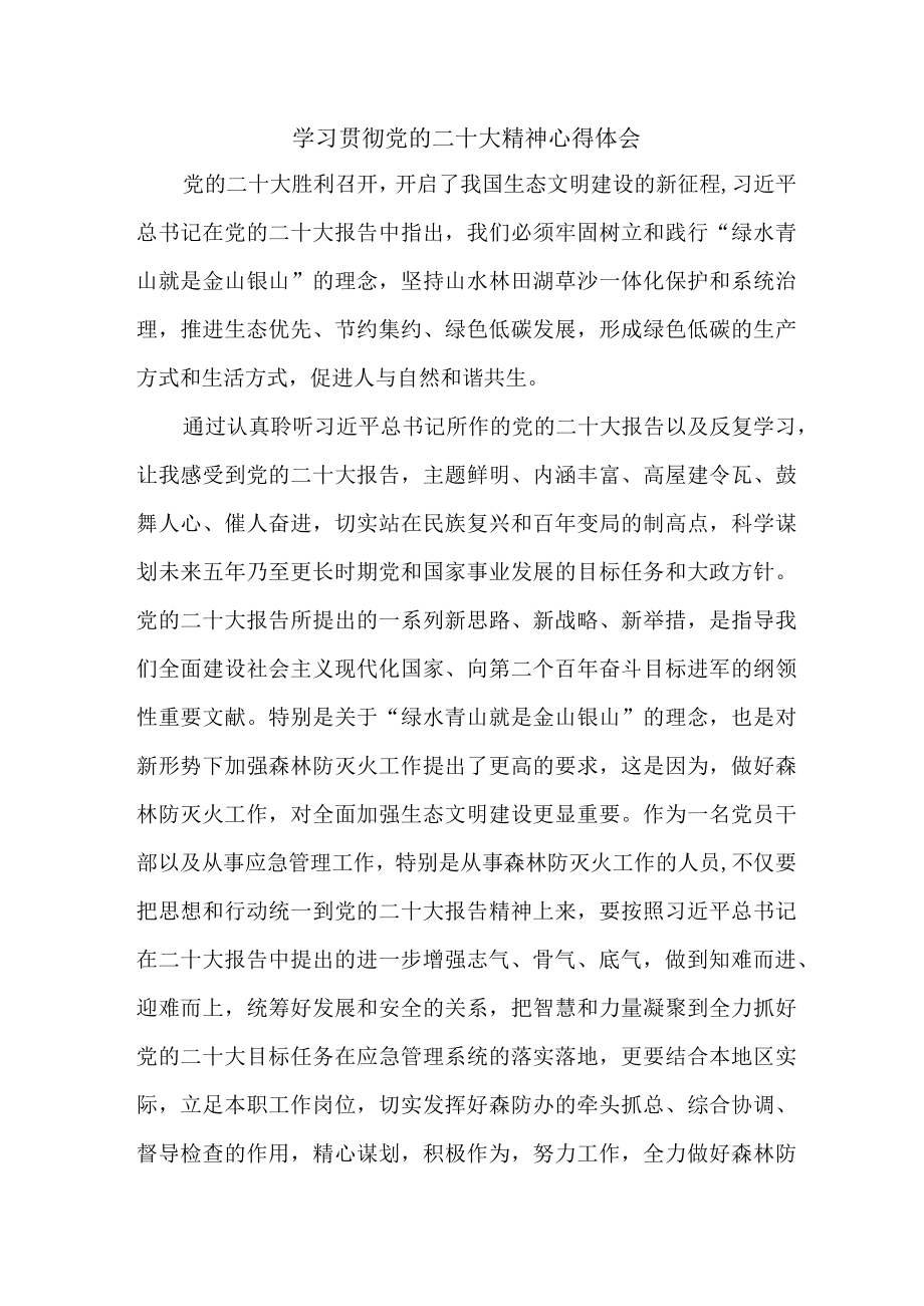 应急管理综合科负责人《学习贯彻党的二十大精神》个人心得体会 （汇编4份）.docx_第1页