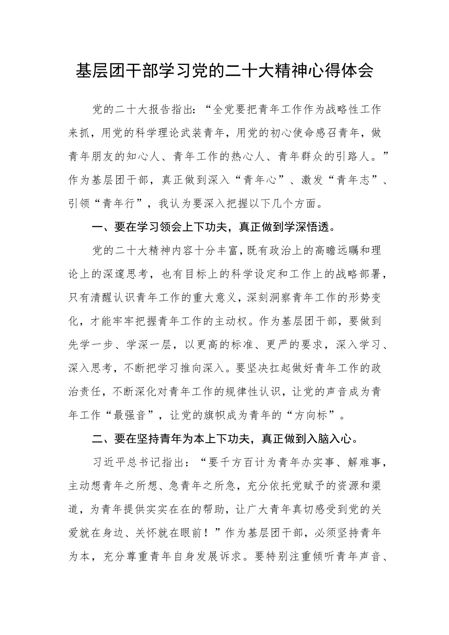 基层团干部学习党的二十大精神心得体会.docx_第1页