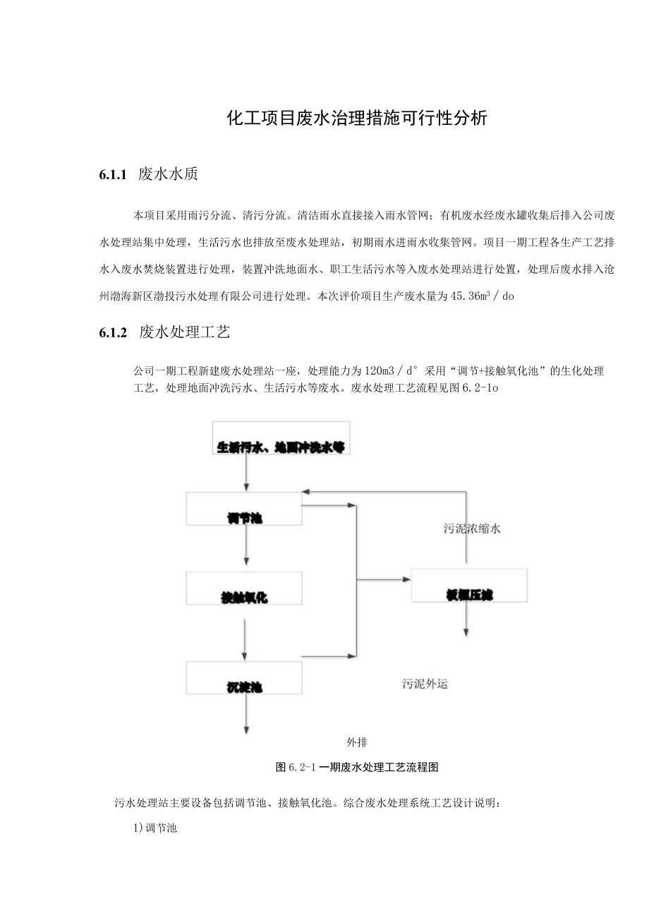 化工项目废水治理措施可行性分析.docx_第1页