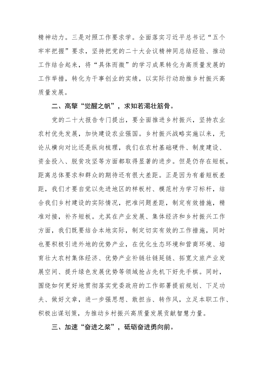 学习宣传贯彻党的二十大精神推动乡村振兴发展研讨交流材料三篇.docx_第2页