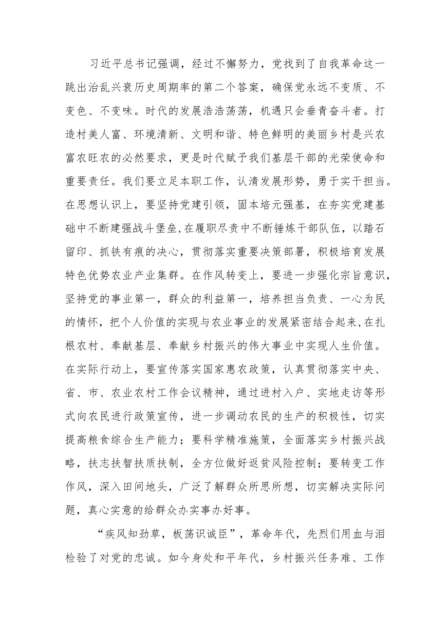 学习宣传贯彻党的二十大精神推动乡村振兴发展研讨交流材料三篇.docx_第3页