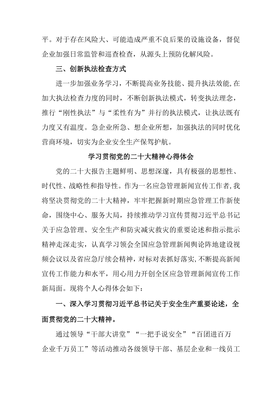 应急管理局执法大队党员干部学习贯彻党的二十大精神个人心得体会 （4份）.docx_第2页