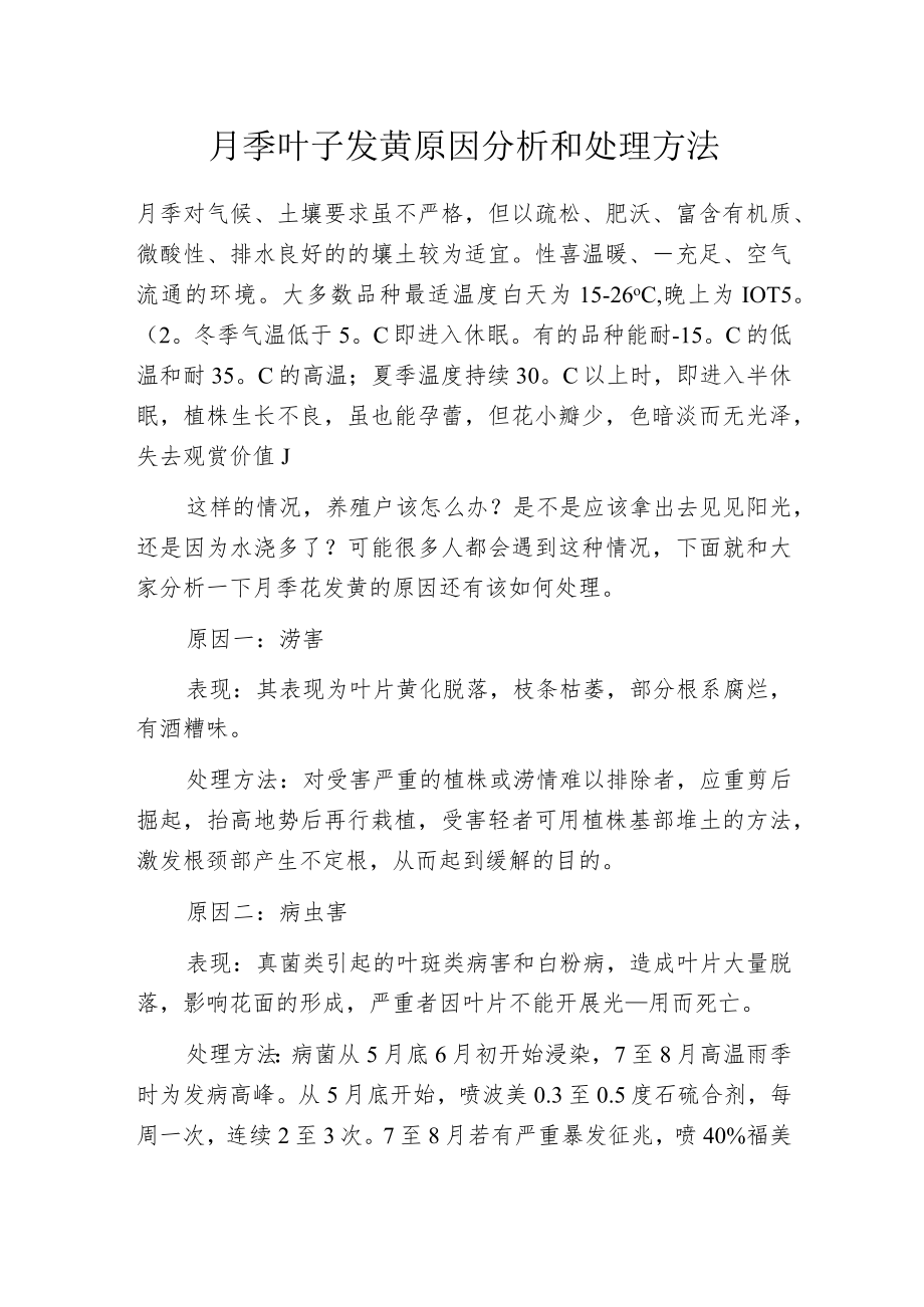 月季叶子发黄原因分析和处理方法.docx_第1页