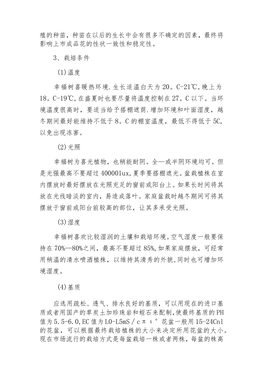 幸福树的栽培与管理技术.docx_第2页