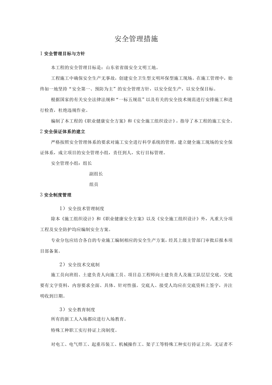 安全管理措施.docx_第1页