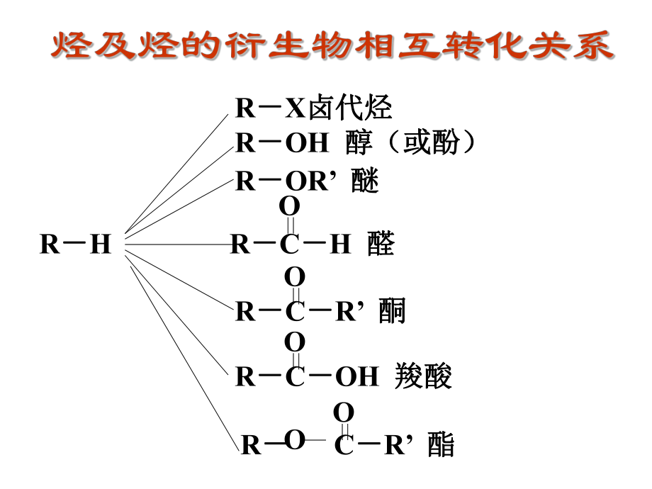 有机化学专题复习.ppt_第2页