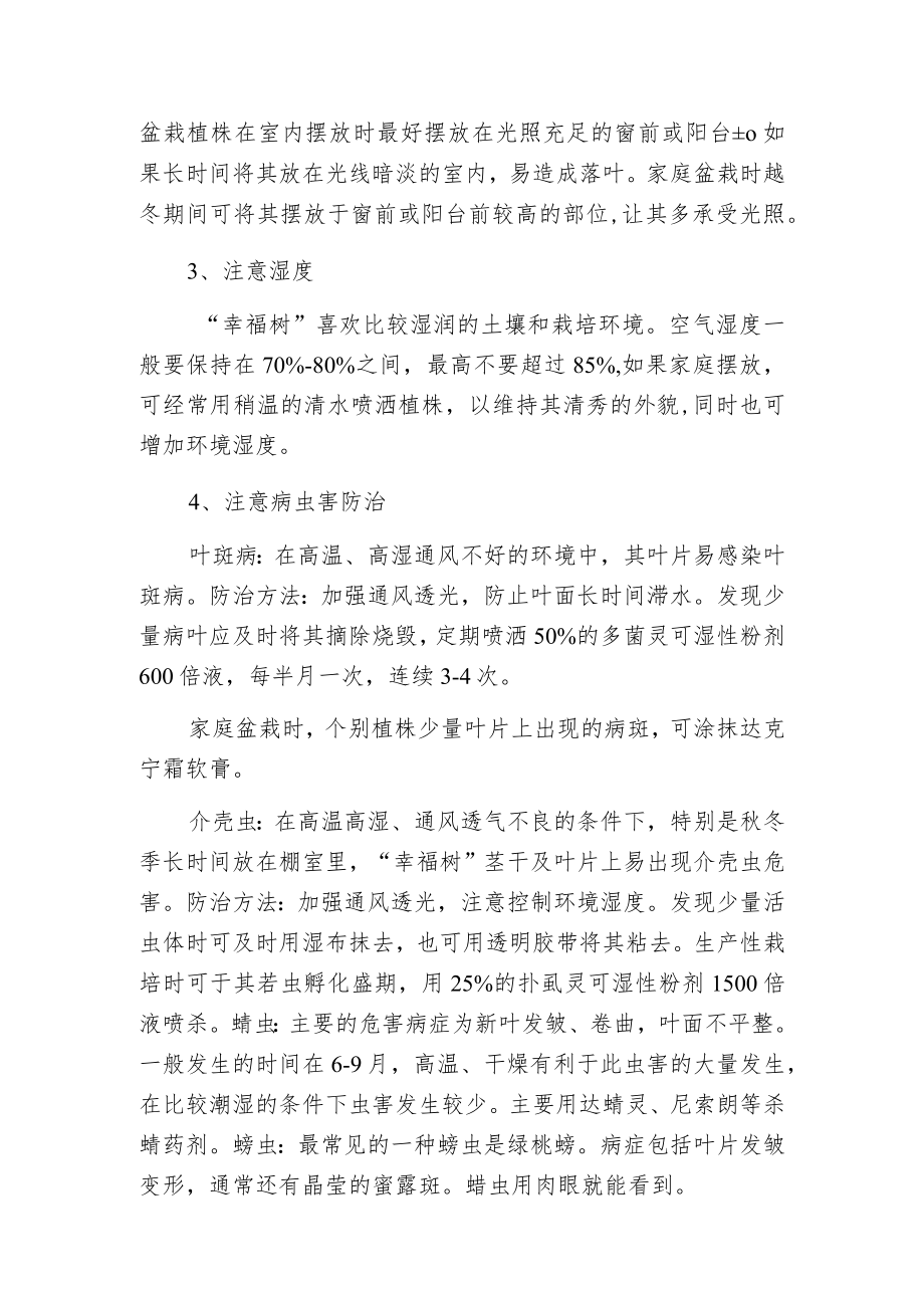 幸福树的家庭养殖养护管理注意事项.docx_第2页