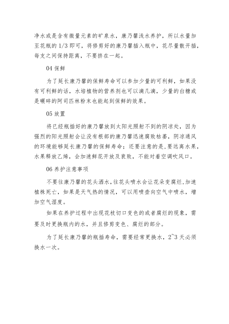 康乃馨养护技巧你不得不知道的干货.docx_第2页