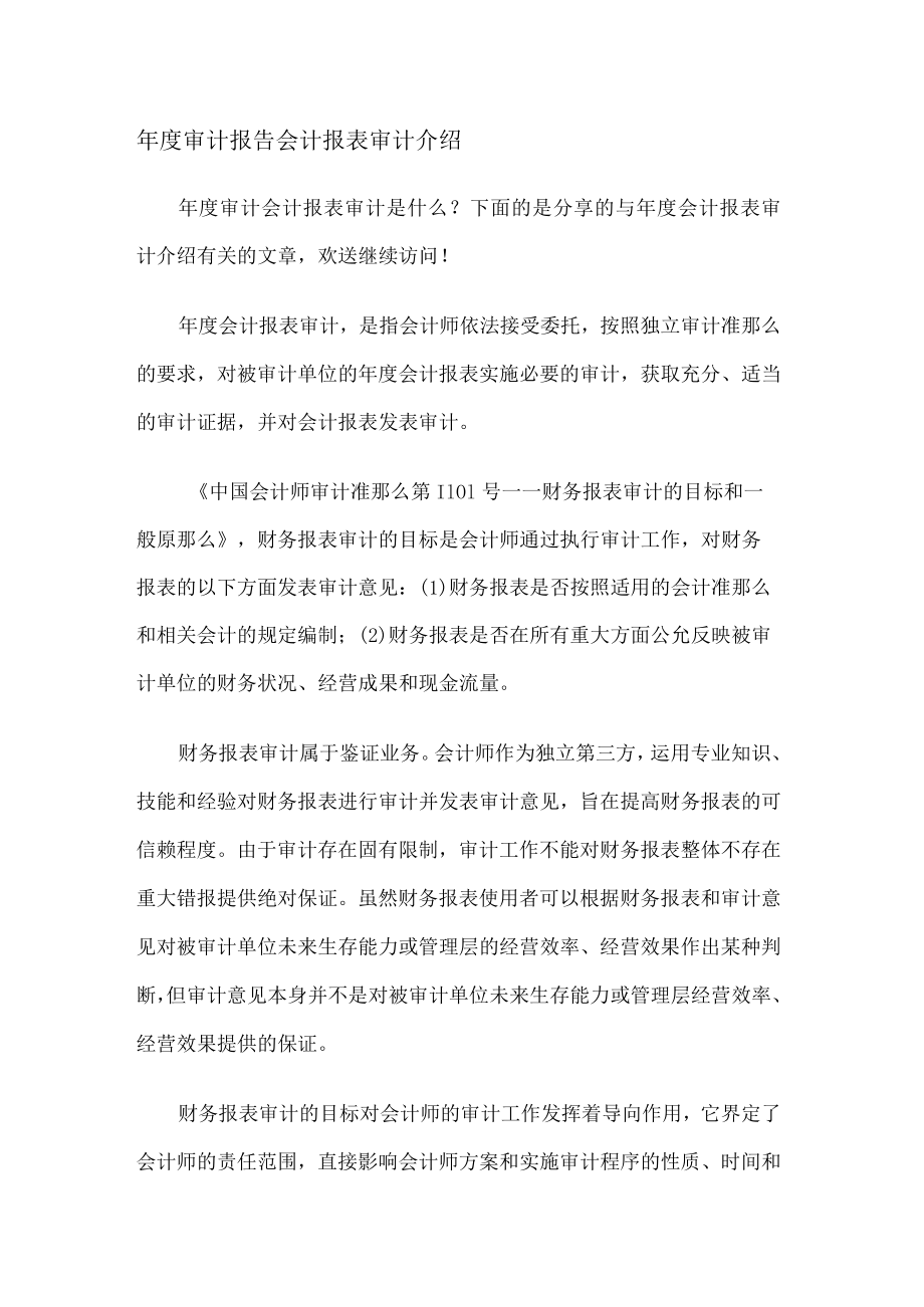 年度审计报告会计报表审计介绍.docx_第1页