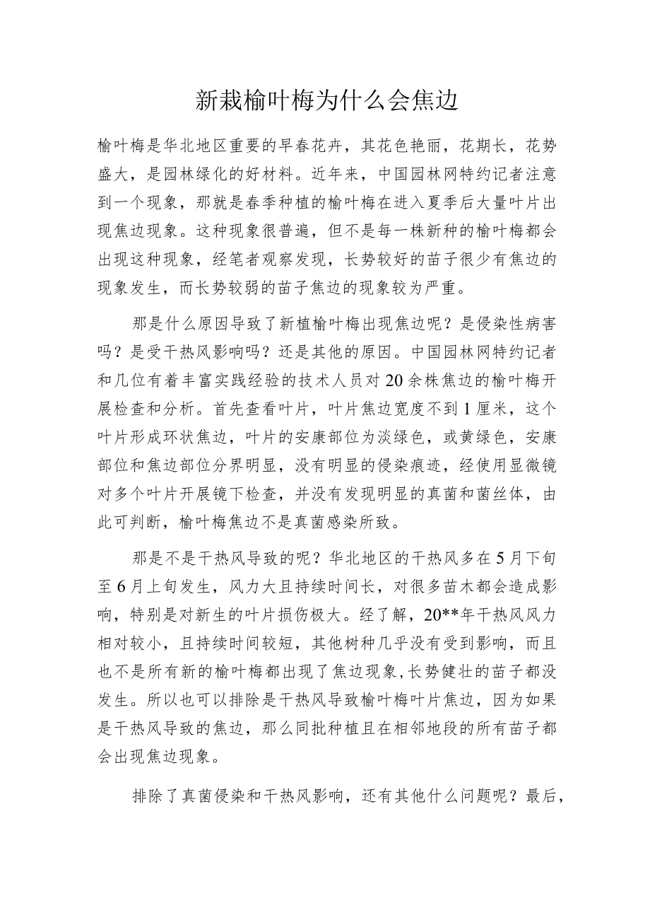 新栽榆叶梅为什么会焦边.docx_第1页