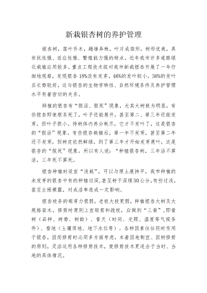 新栽银杏树的养护管理.docx