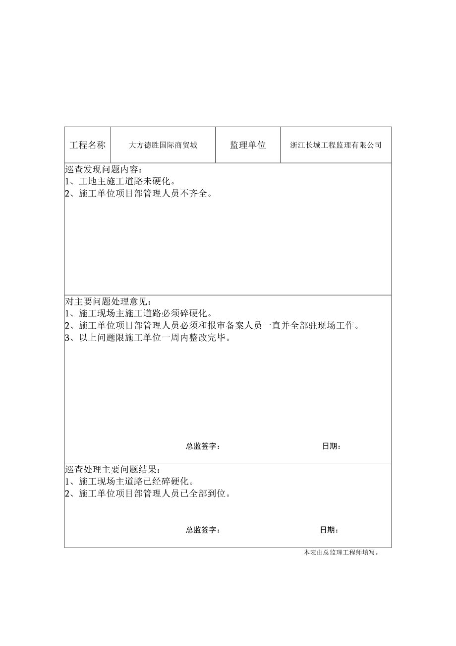 总监巡查记录.docx_第1页