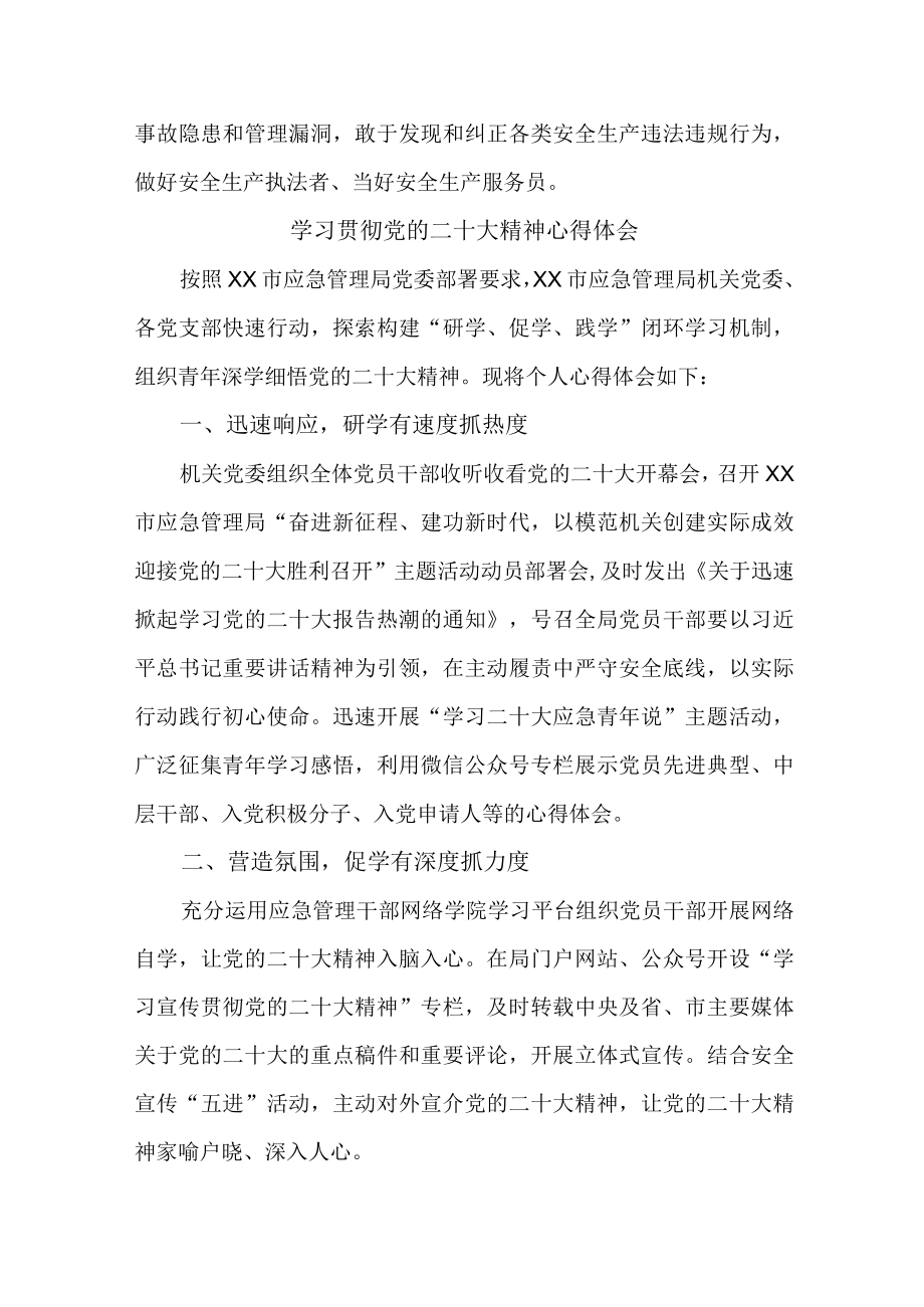 应急管理综合科负责人《学习贯彻党的二十大精神》心得体会 （4份）.docx_第3页