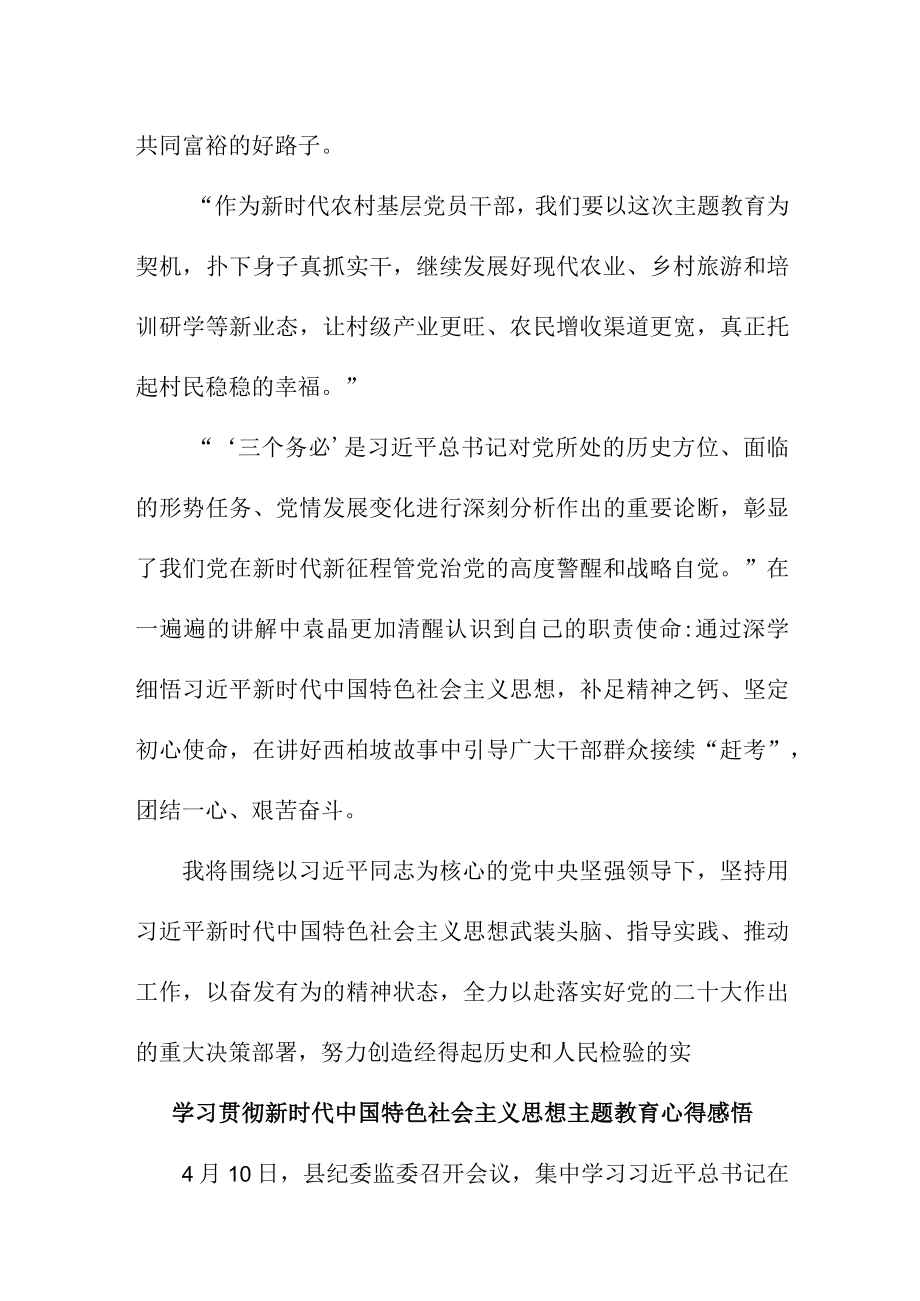 驻村书记党员干部组织学习贯彻新时代中国特色社会主义思想主题教育心得体会 （4份）.docx_第3页