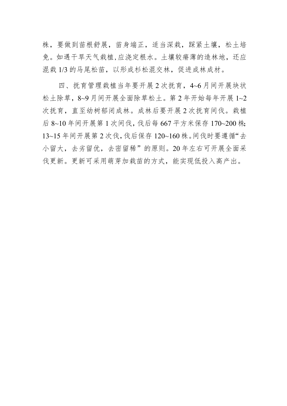 杉木栽培技术要点.docx_第2页