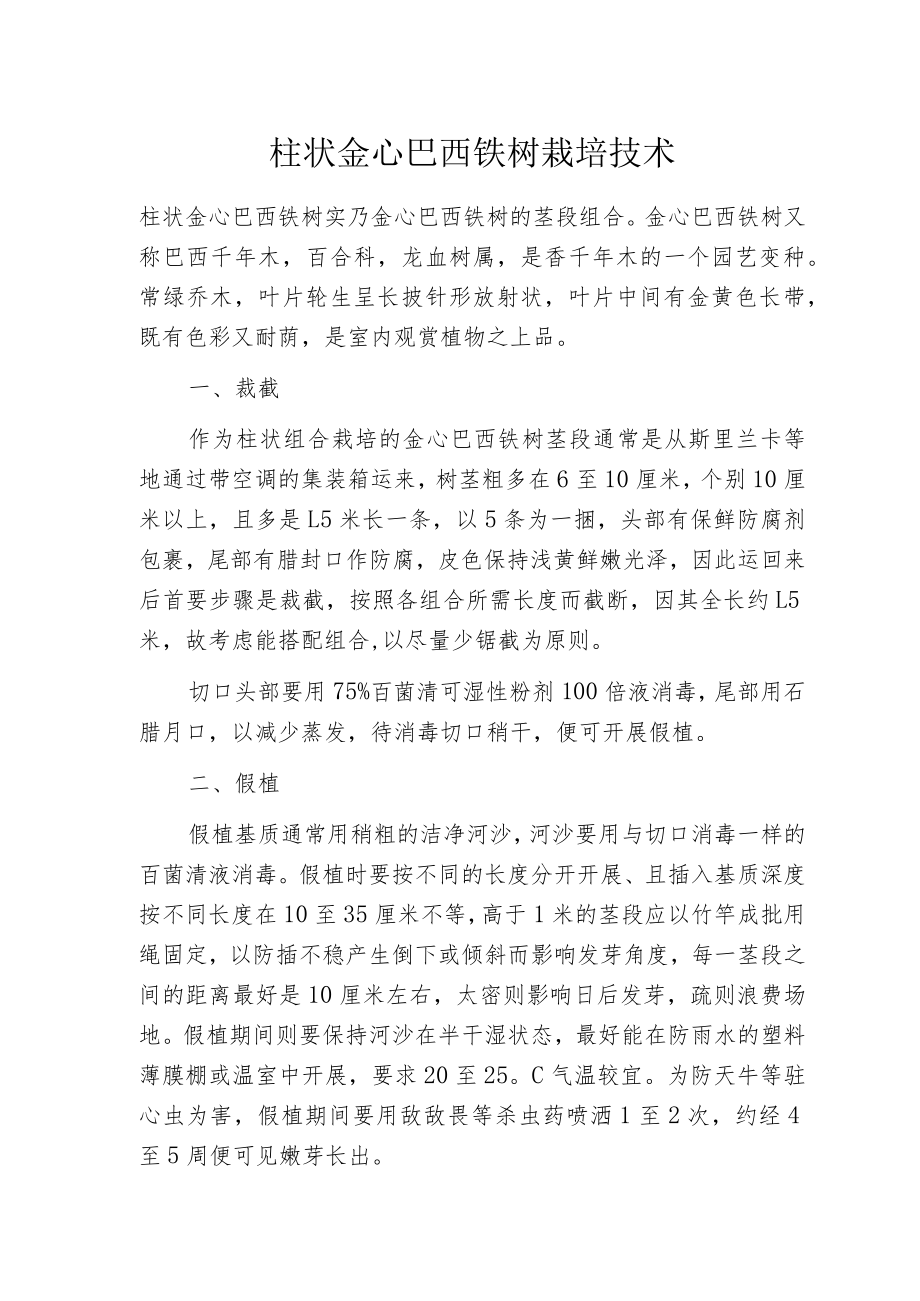 柱状金心巴西铁树栽培技术.docx_第1页