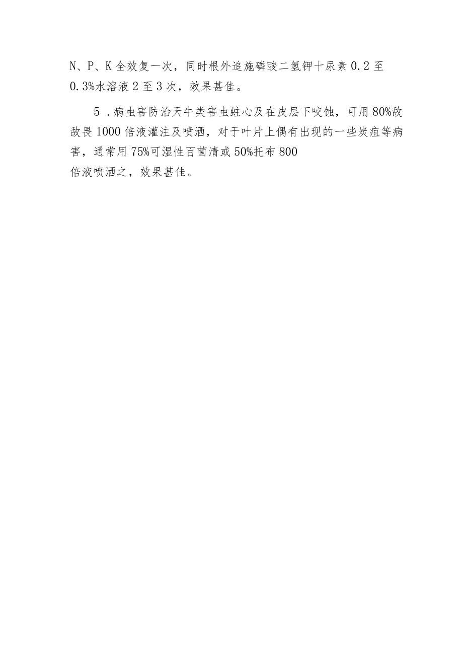 柱状金心巴西铁树栽培技术.docx_第3页