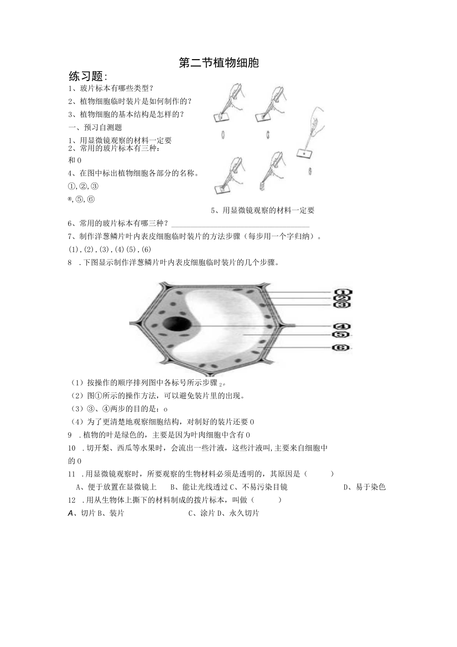 第二节植物细胞.docx_第1页