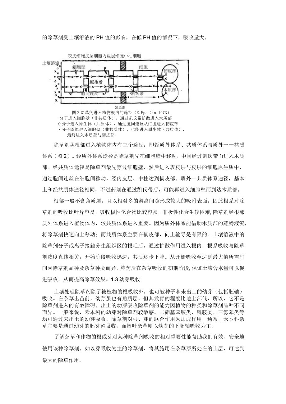 杂草对除草剂吸收原理分析.docx_第3页