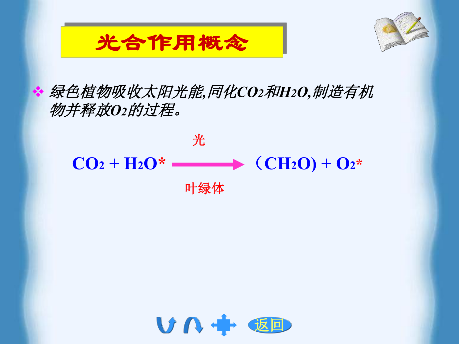 植物生理学光合作用.ppt_第3页