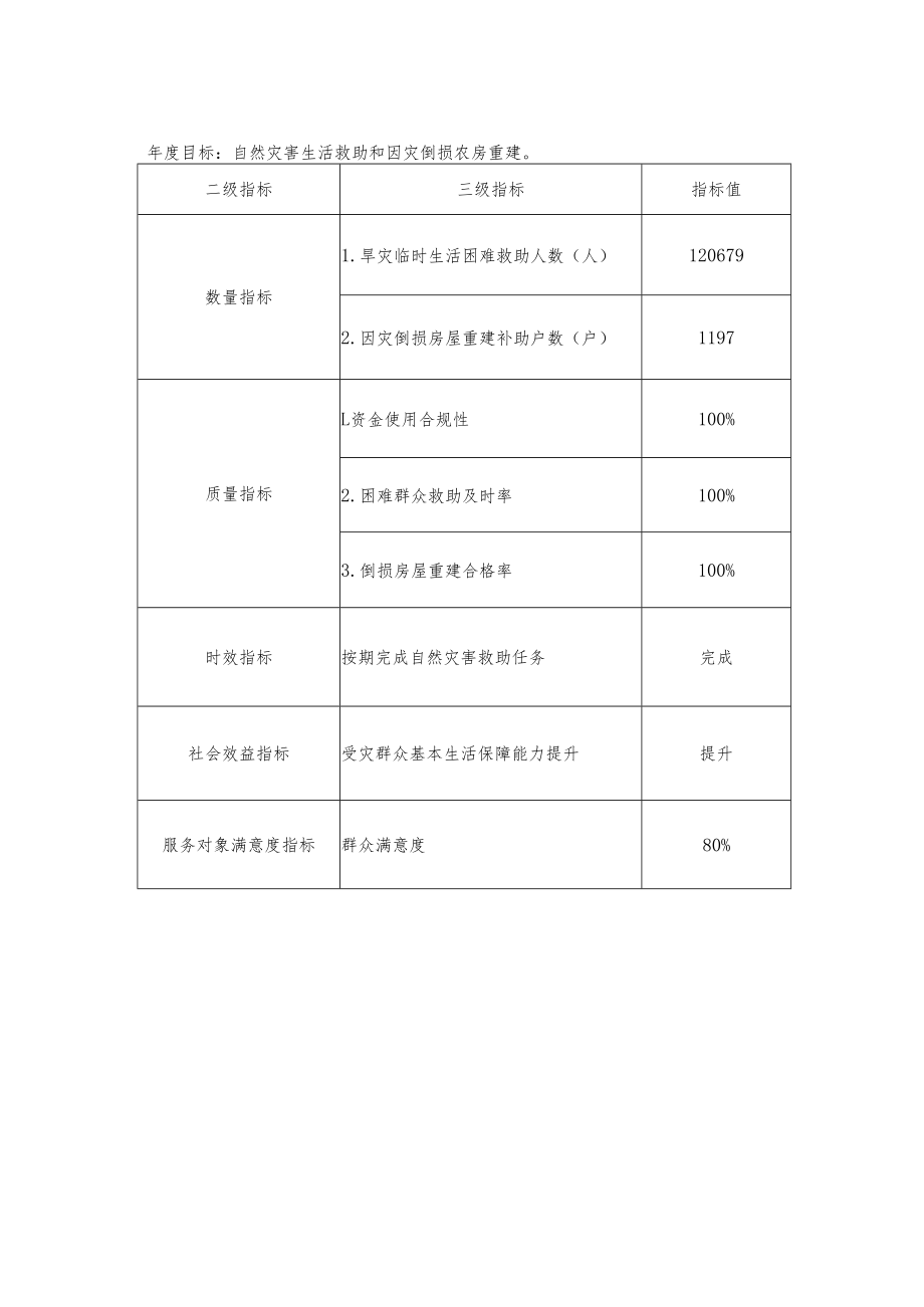 项目支出绩效目标表.docx_第2页