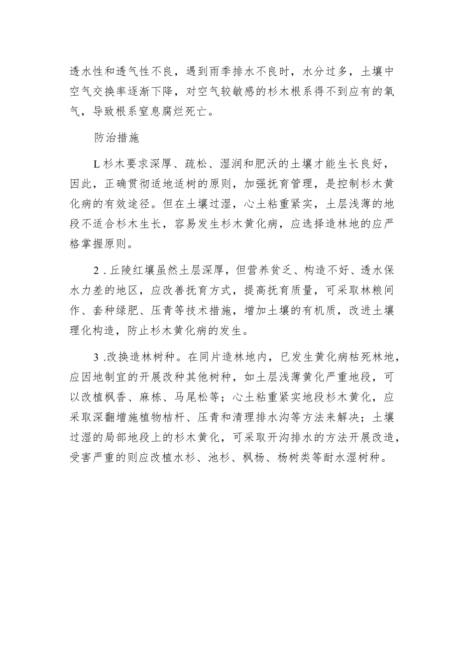 杉木黄化病的病症及防治.docx_第2页