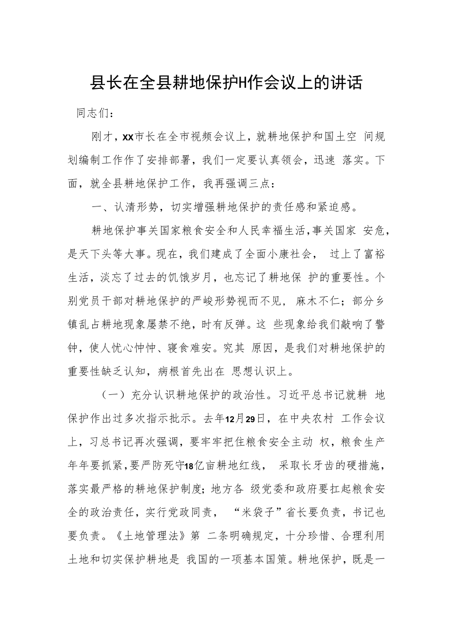 县长在全县耕地保护工作会议上的讲1.docx_第1页