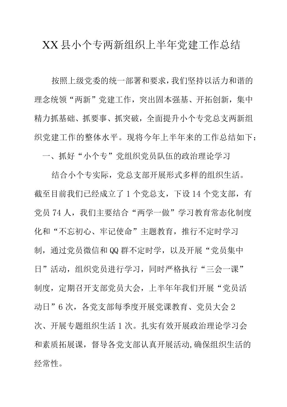 XX县小个专两新组织上半年党建工作总结.docx_第1页