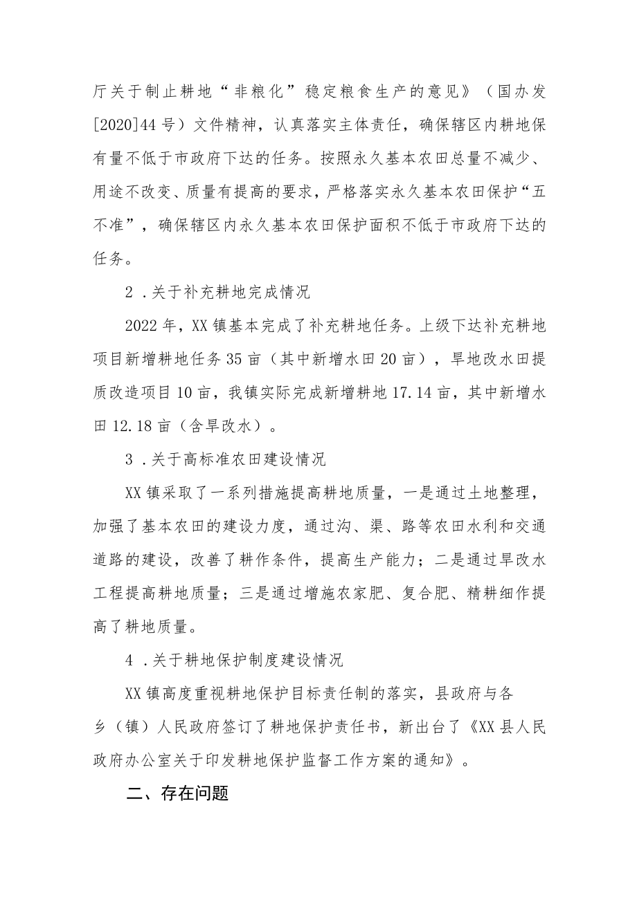 XX镇2022年度耕地保护责任目标履行情况自查报告.docx_第2页