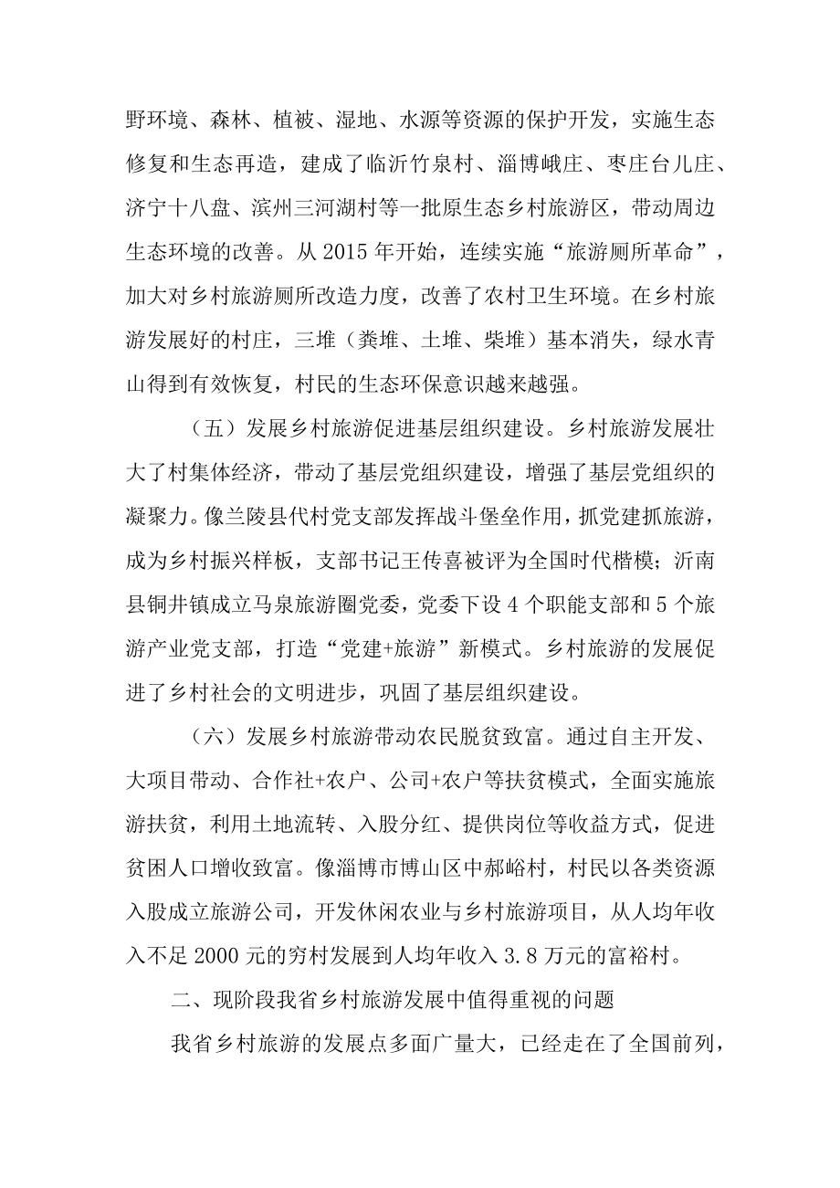 关于提升新时代乡村旅游发展质量推动乡村振兴战略的调查报告.docx_第3页