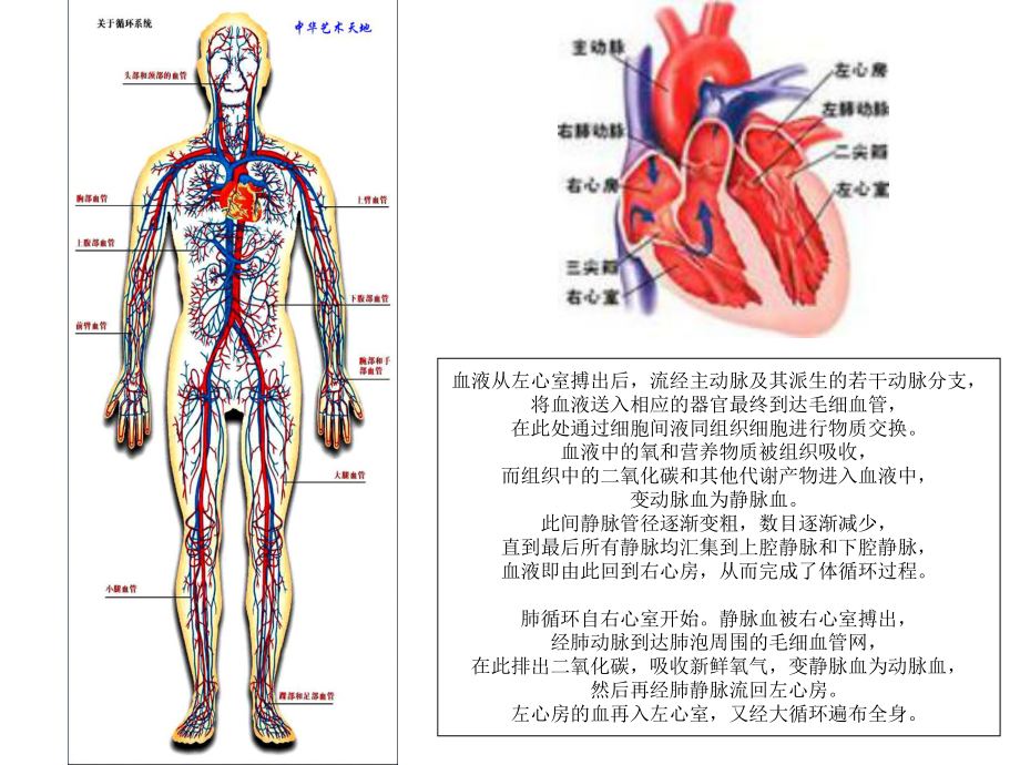 高血脂好课件.ppt_第2页