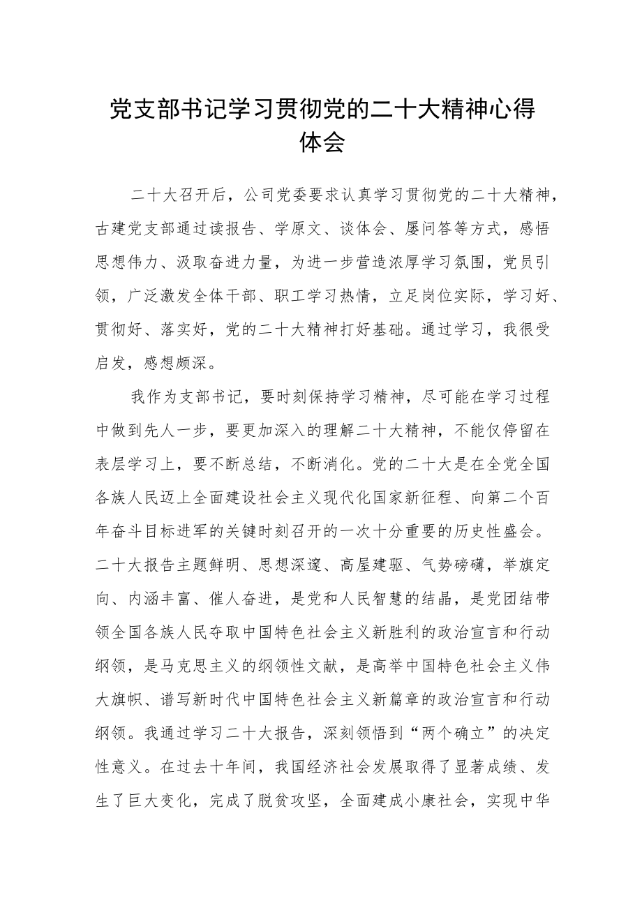 党支部书记学习贯彻党的二十大精神心得体会.docx_第1页