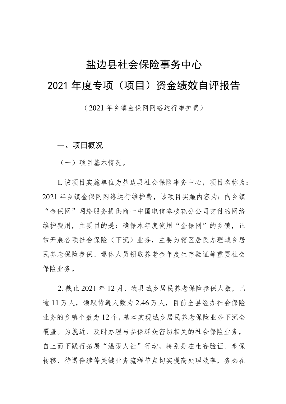 盐边县社会保险事务中心2021年度专项项目资金绩效自评报告.docx_第1页