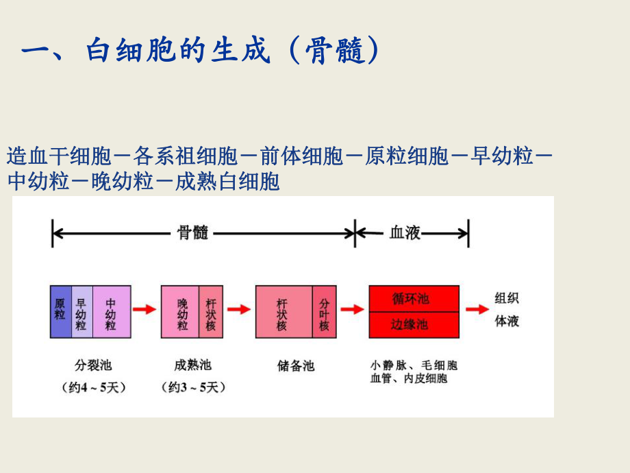 乳腺癌骨髓抑制.pptx_第2页