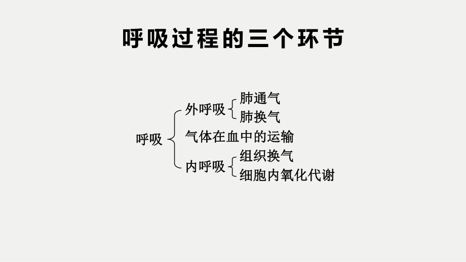 人体生理学——呼吸.pptx_第2页