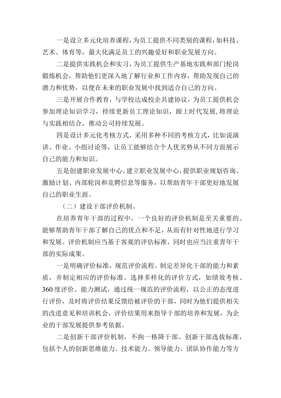 企业公司新时代青年干部培养机制建设方案.docx_第2页