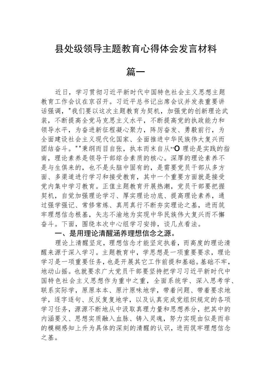 县处级领导主题教育心得体会发言材料精选三篇.docx_第1页