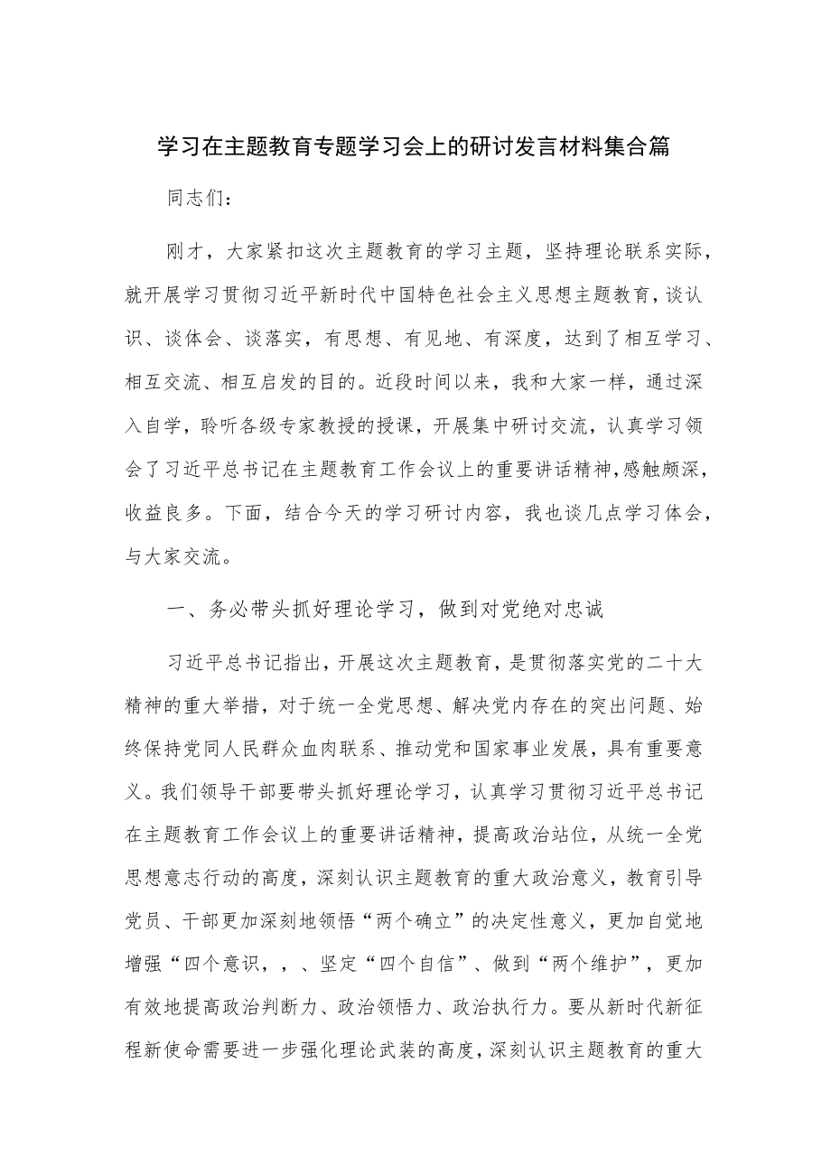 学习在主题教育专题学习会上的研讨发言材料集合篇.docx_第1页