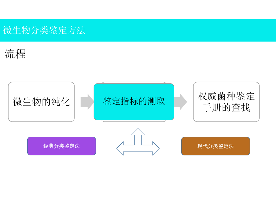 微生物分类鉴定方法.pptx_第3页