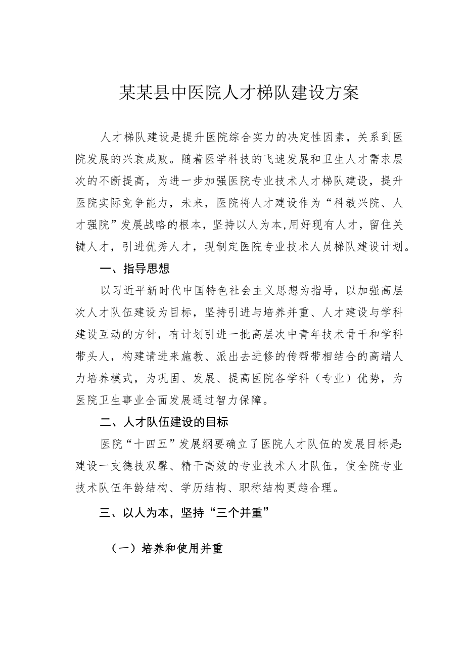 某某县中医院人才梯队建设方案.docx_第1页