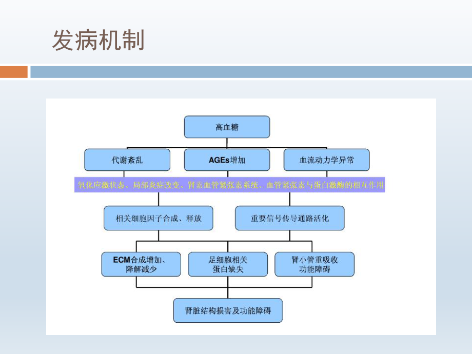 糖尿病肾病病理.pptx_第2页