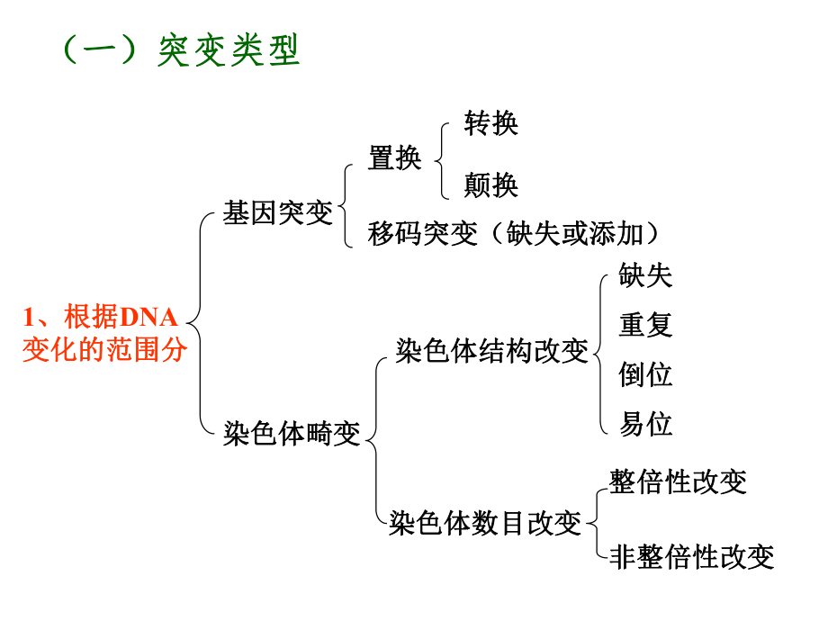 微生物基因突变.pptx_第2页