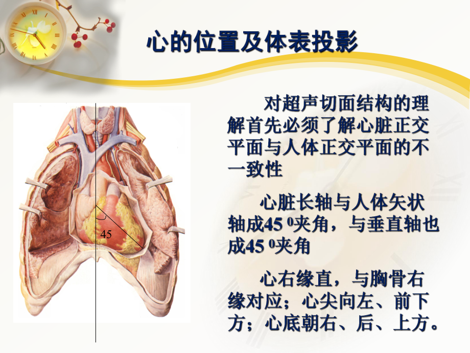 心脏超声常用切面及解剖.pptx_第3页