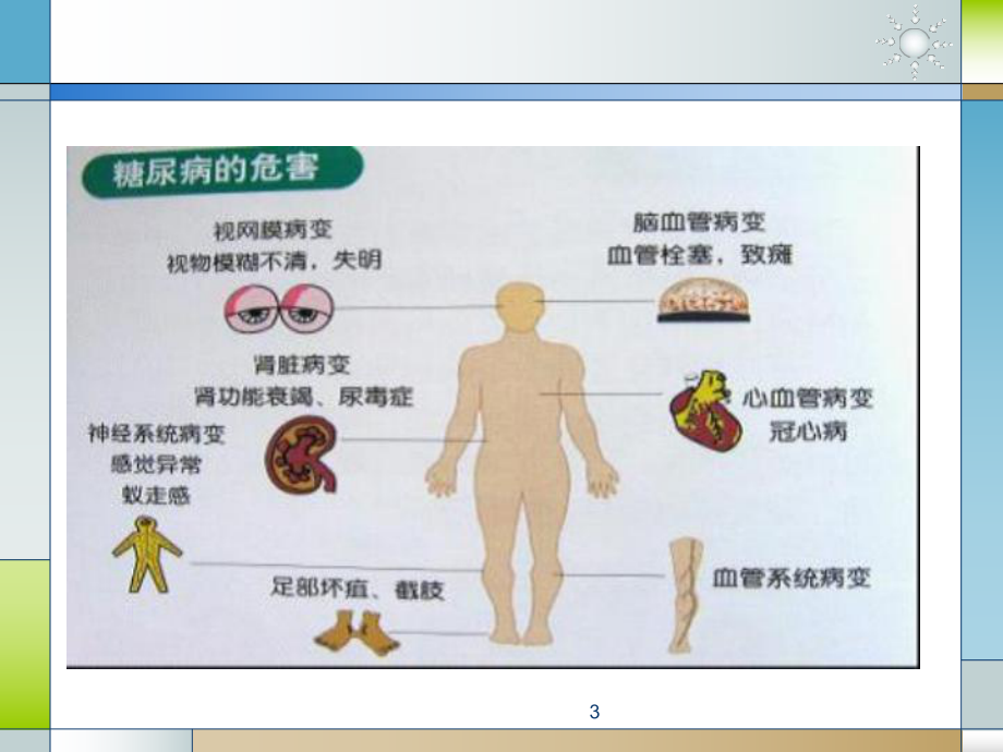 糖尿病与冠心病.pptx_第3页