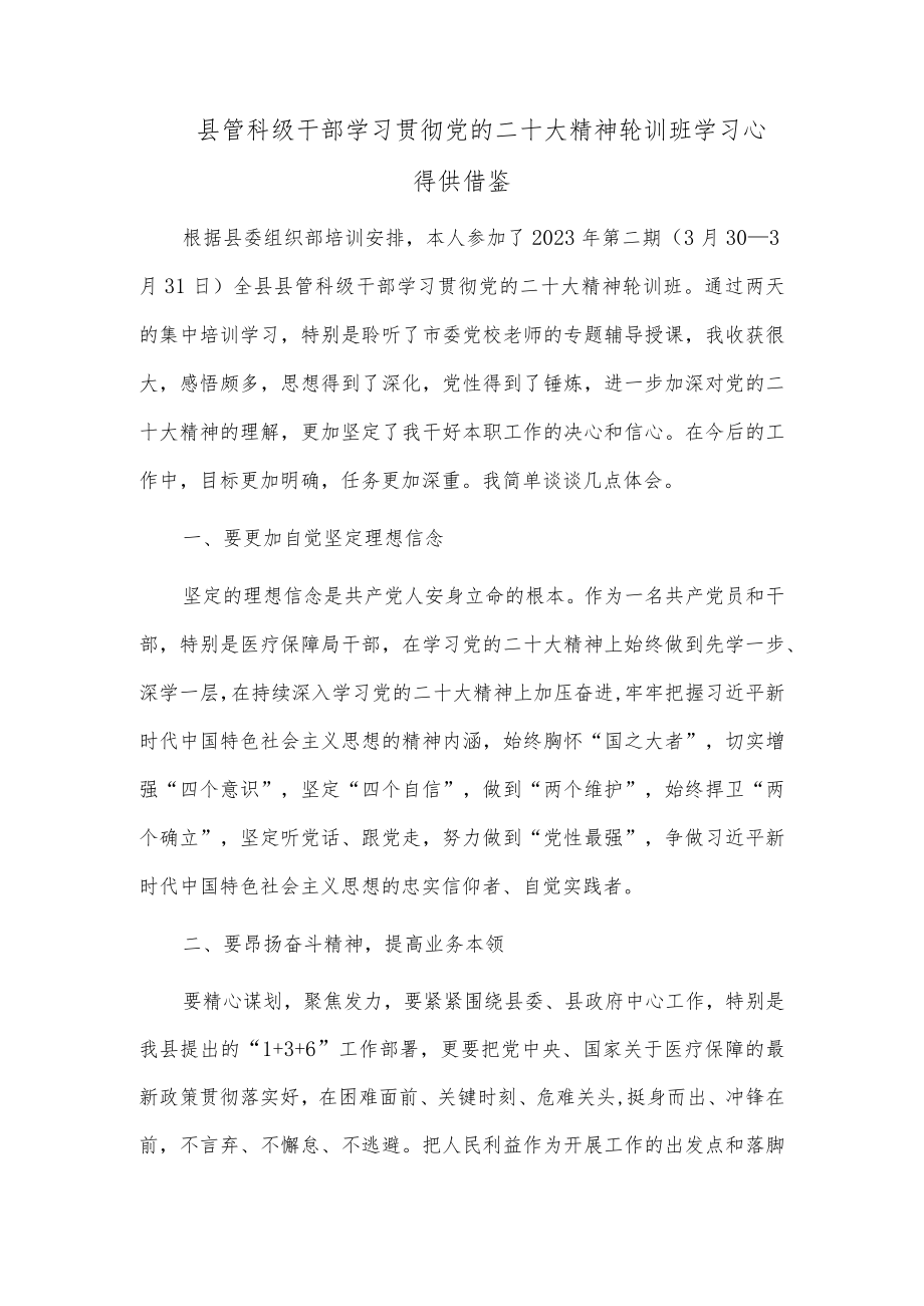 县管科级干部学习贯彻党的二十大精神轮训班学习心得供借鉴.docx_第1页