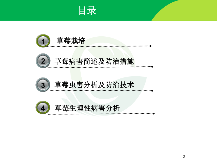 草莓病虫害防治技术.pptx_第2页