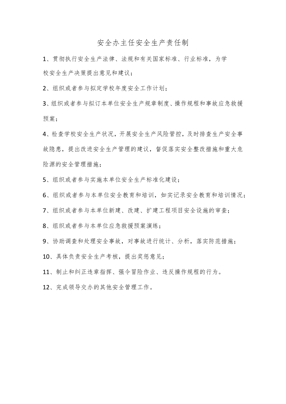 安全办主任安全生产责任制.docx_第1页